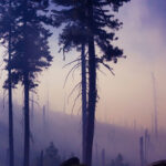 bjorn-tore-okland-119009